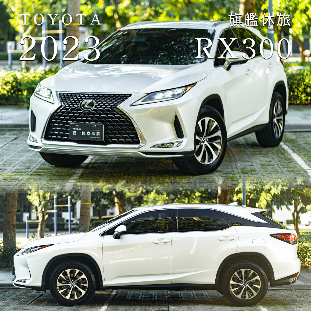 RX300